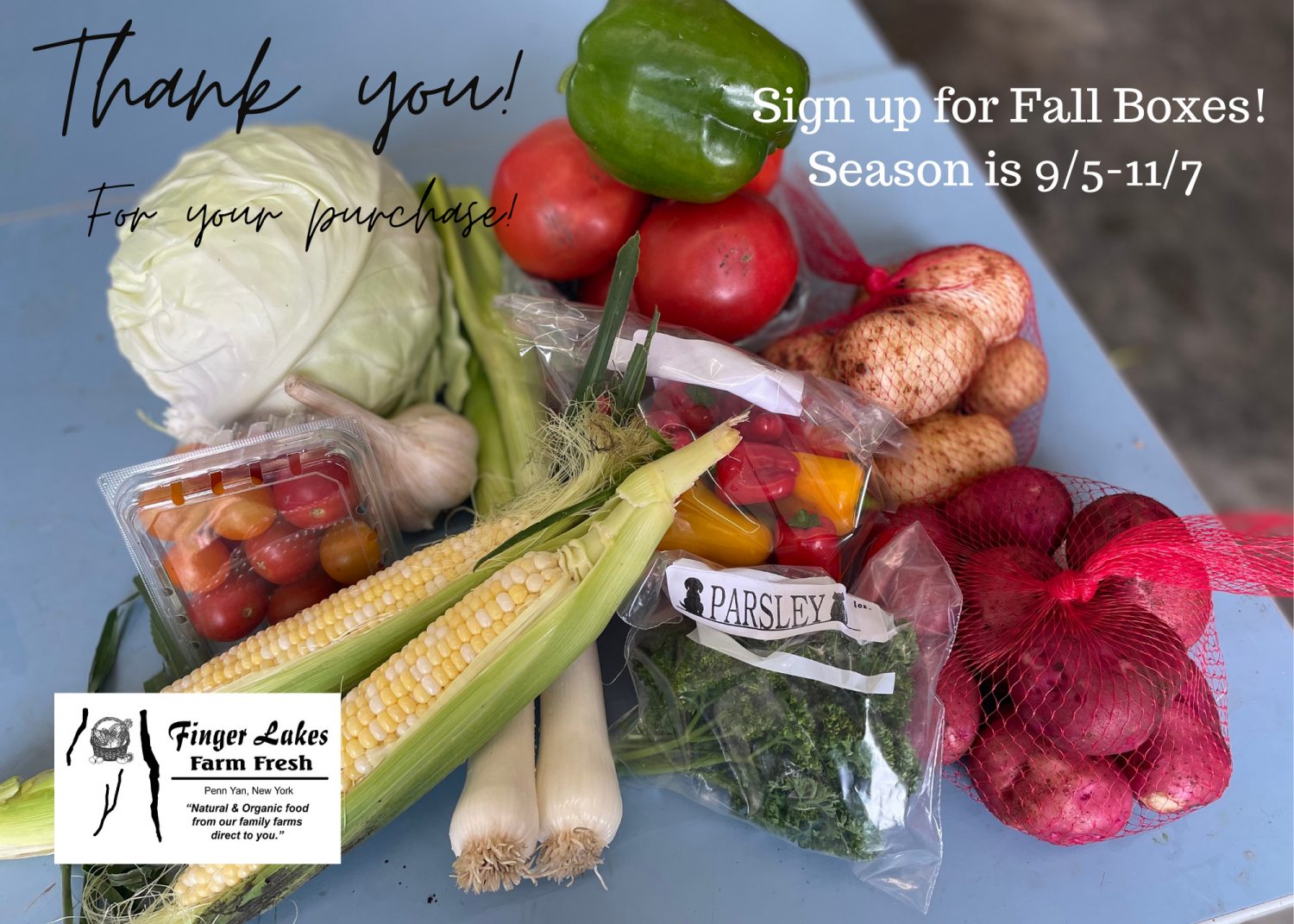 Next Happening: Fall is in the air!  Are you signed up to keep getting Veggies!?