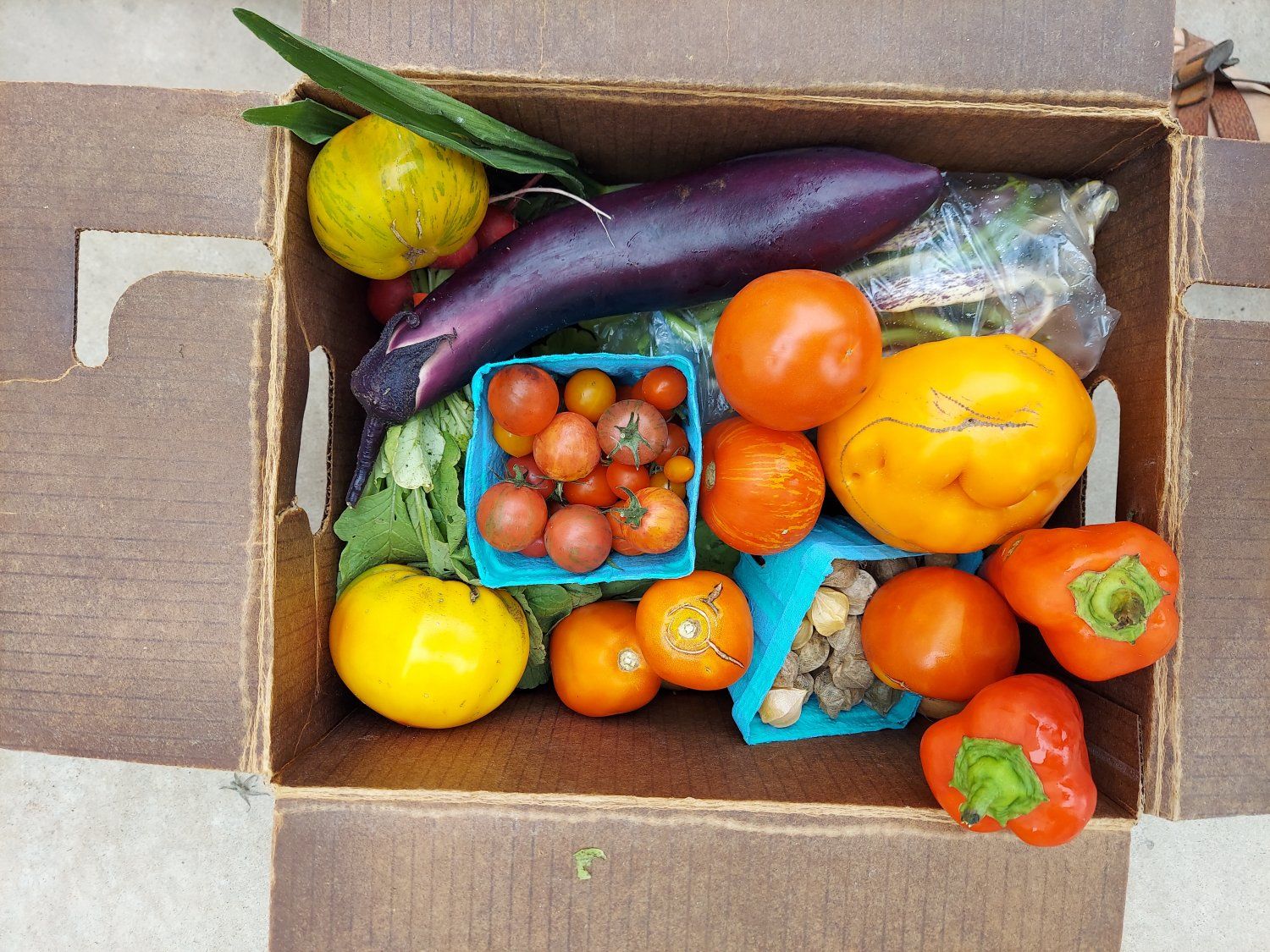 Next Happening: CSA Box 13 (Please Click on Continue Reading to see Whole Newsletter)