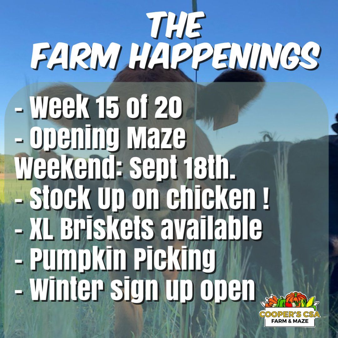 Next Happening: Cooper's CSA Farm Summer 2021 Week 15 "Meat Shares" Sept. 14th-19th, 2021