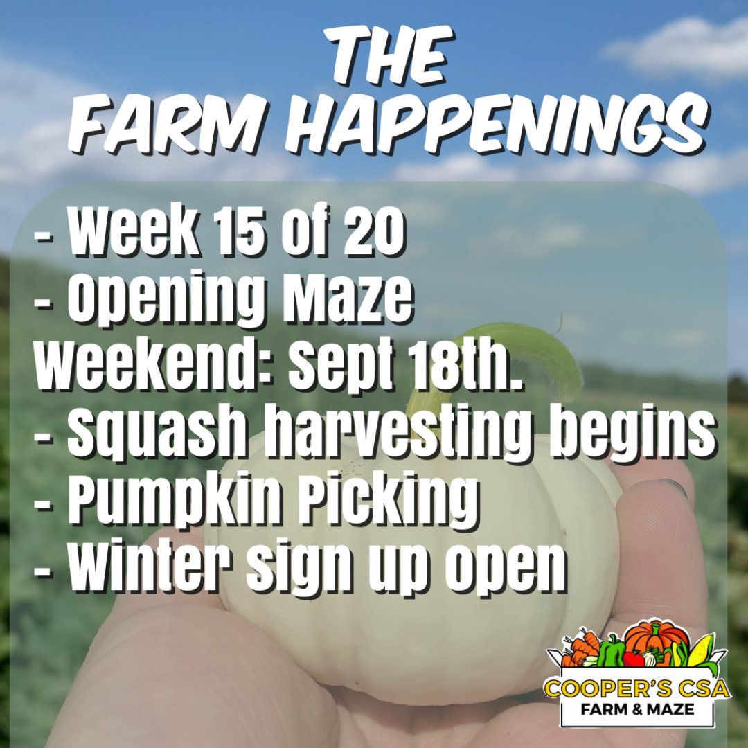Next Happening: Cooper's CSA Farm Summer 2021 Week 15 "The Farm Box" Sept. 14th-18th  2021