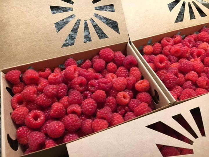 Next Happening: Raspberries Going Strong