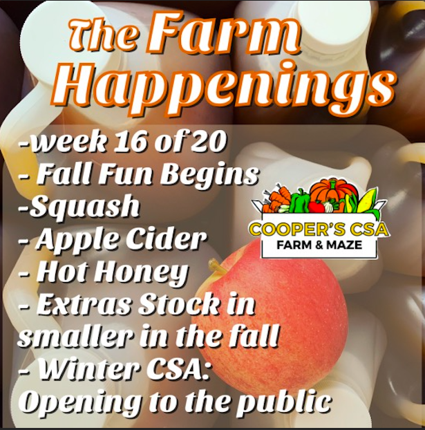 Cooper's CSA Farm Summer 2021 Week 16 "The Farm Box" Sept. 21st-26th, 2021