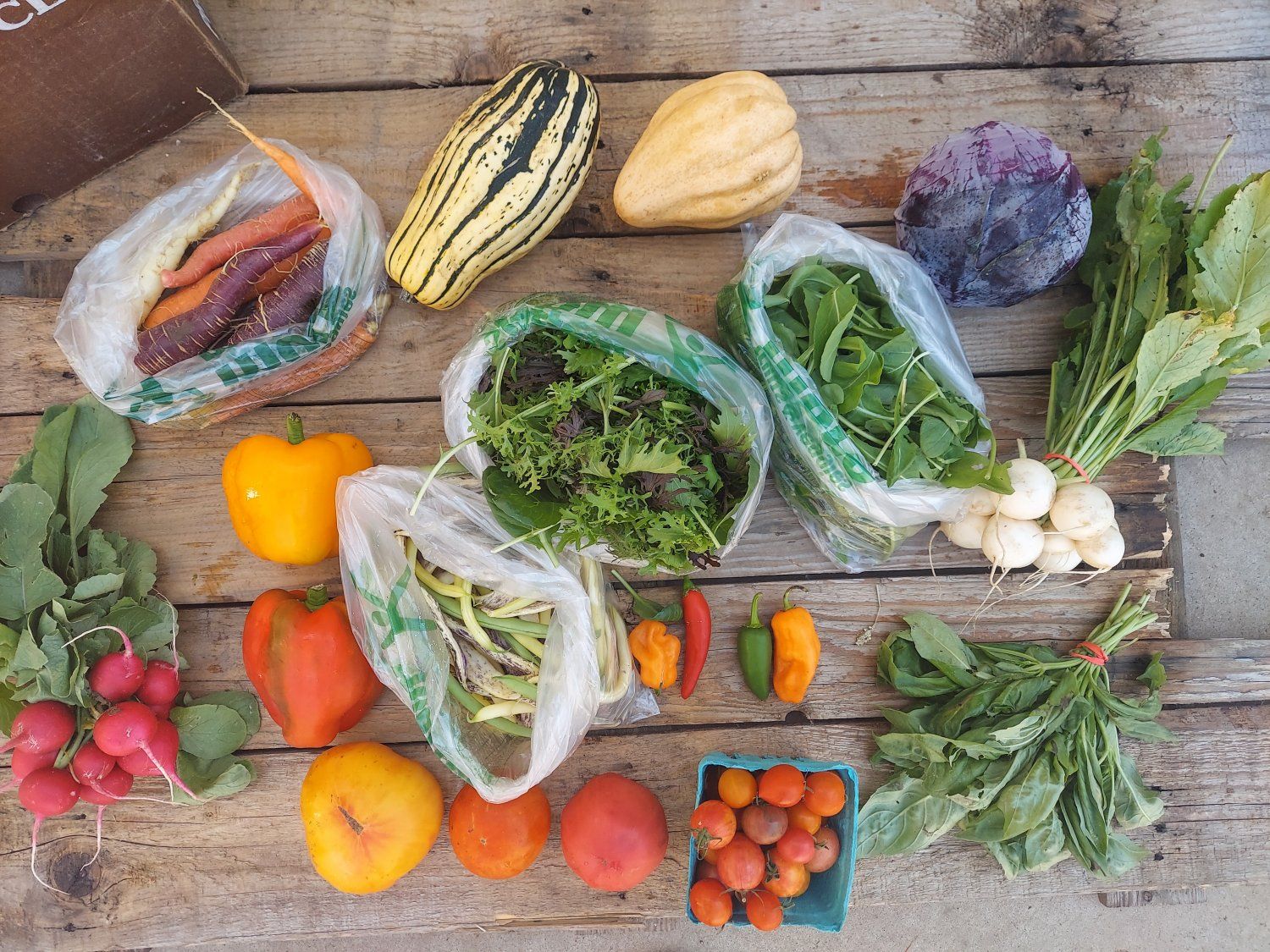 Previous Happening: Fall CSA Box #15 (Click continue Reading to see whole newsletter)