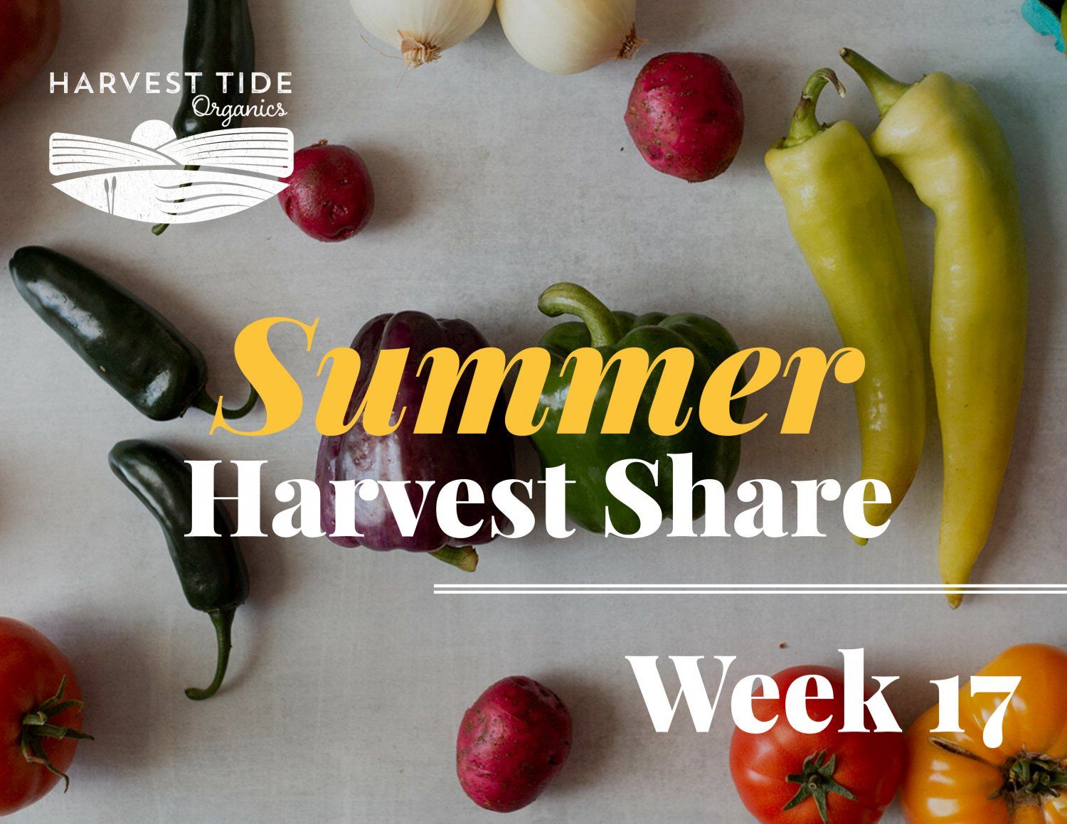 **Last** Summer Harvest Share! Week 17