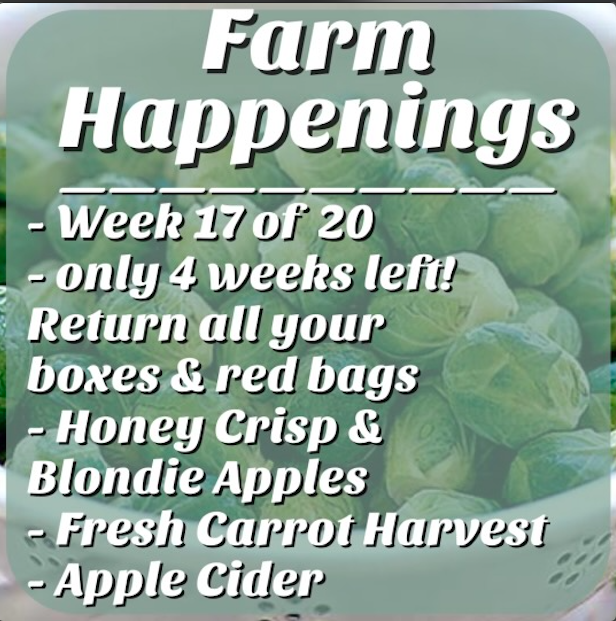Next Happening: Cooper's CSA Farm Summer 2021 Week 17 "The Farm Box" Sept. 28th-Oct. 3rd, 2021