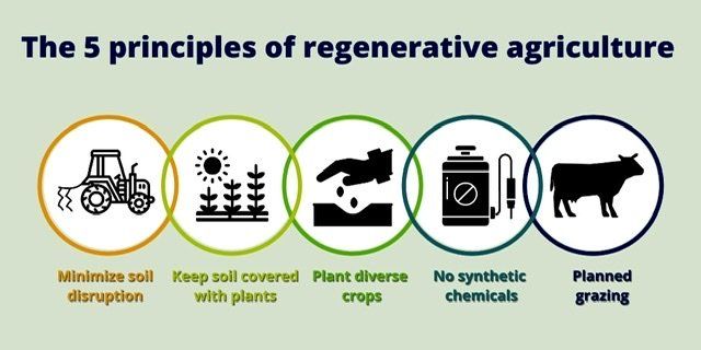 Thoughts on Regenerative Agriculture