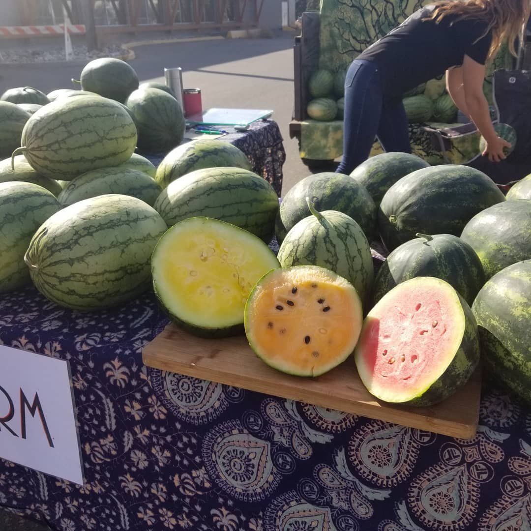 Next Happening: Storage Crops and Watermelon Season in the Cariboo!