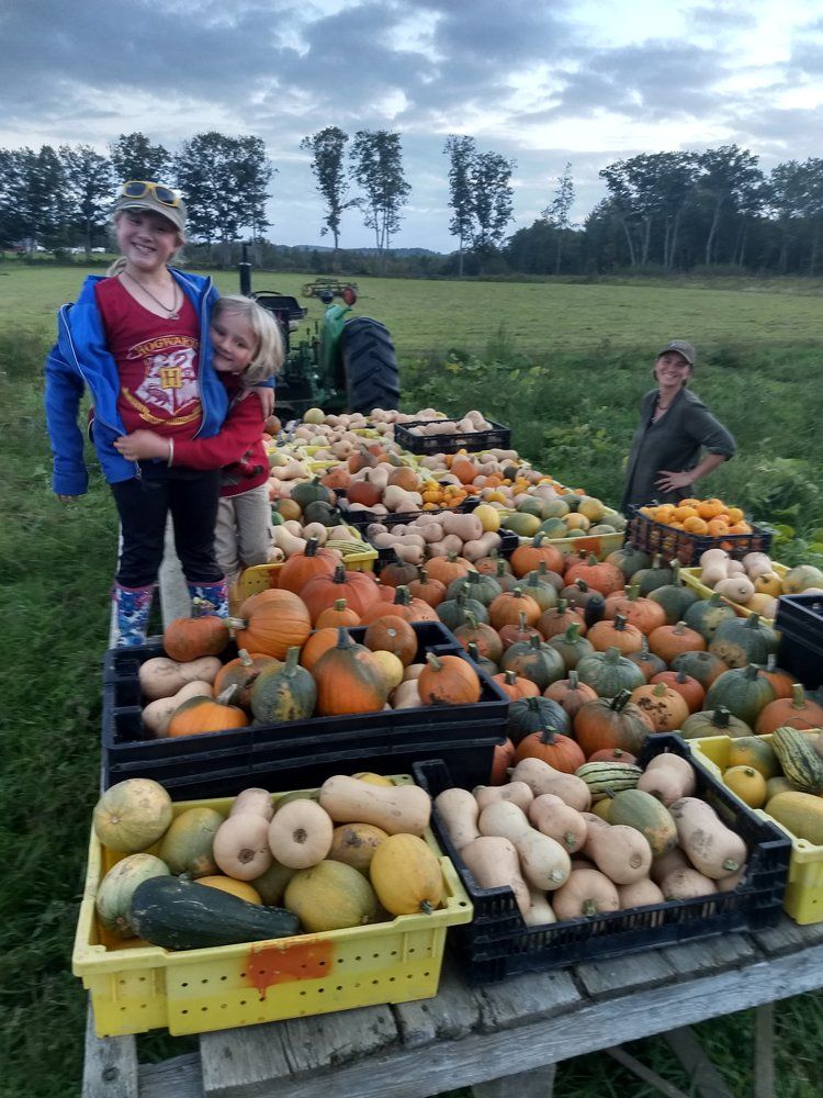 Previous Happening: Farm Happenings 10/4/21: Enjoy the harvest! / Update from Wild Miller Farm