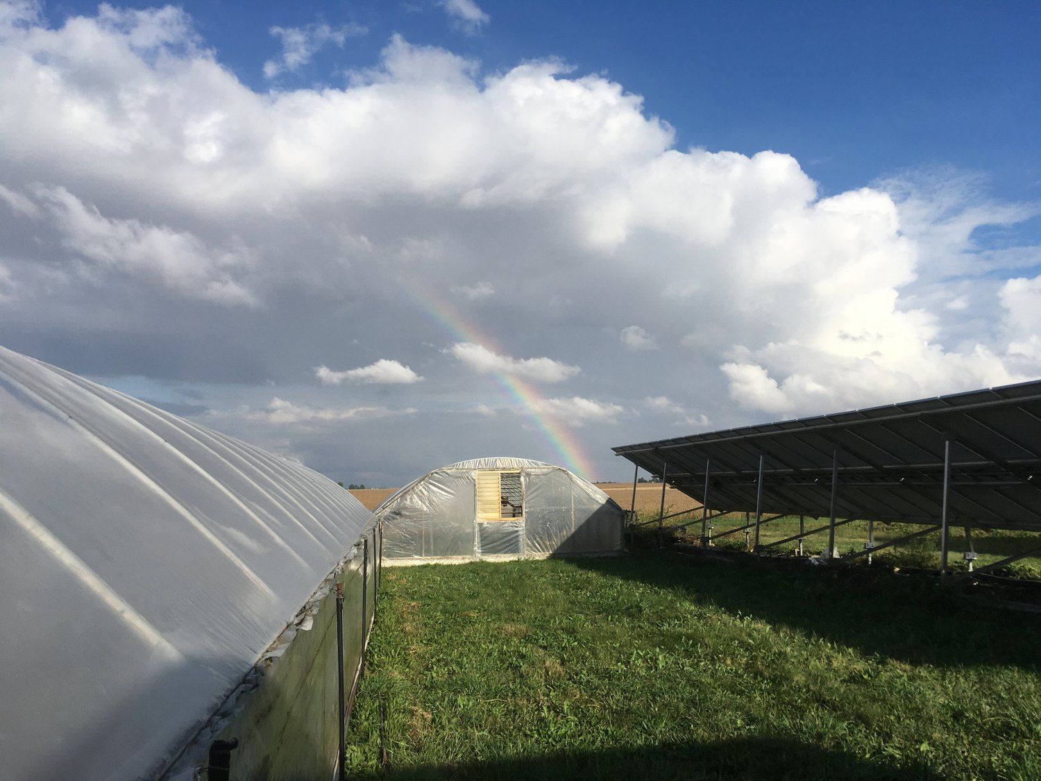 Previous Happening: Farm Happenings for October 13, 2021