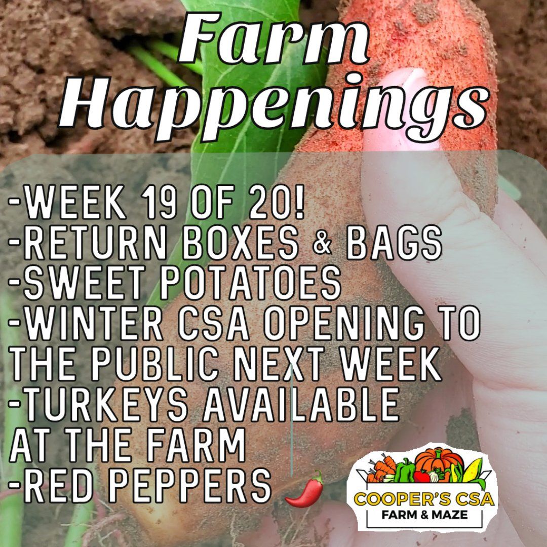 Next Happening: Cooper's CSA Farm Summer 2021 Week 19 "The Farm Box" Oct.12th-17th, 2021