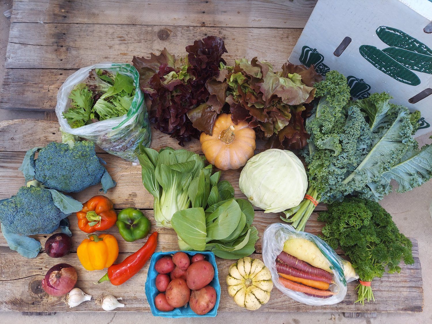 Previous Happening: Fall CSA Box 2 (Please Click on Continue Reading to see Whole Newsletter)