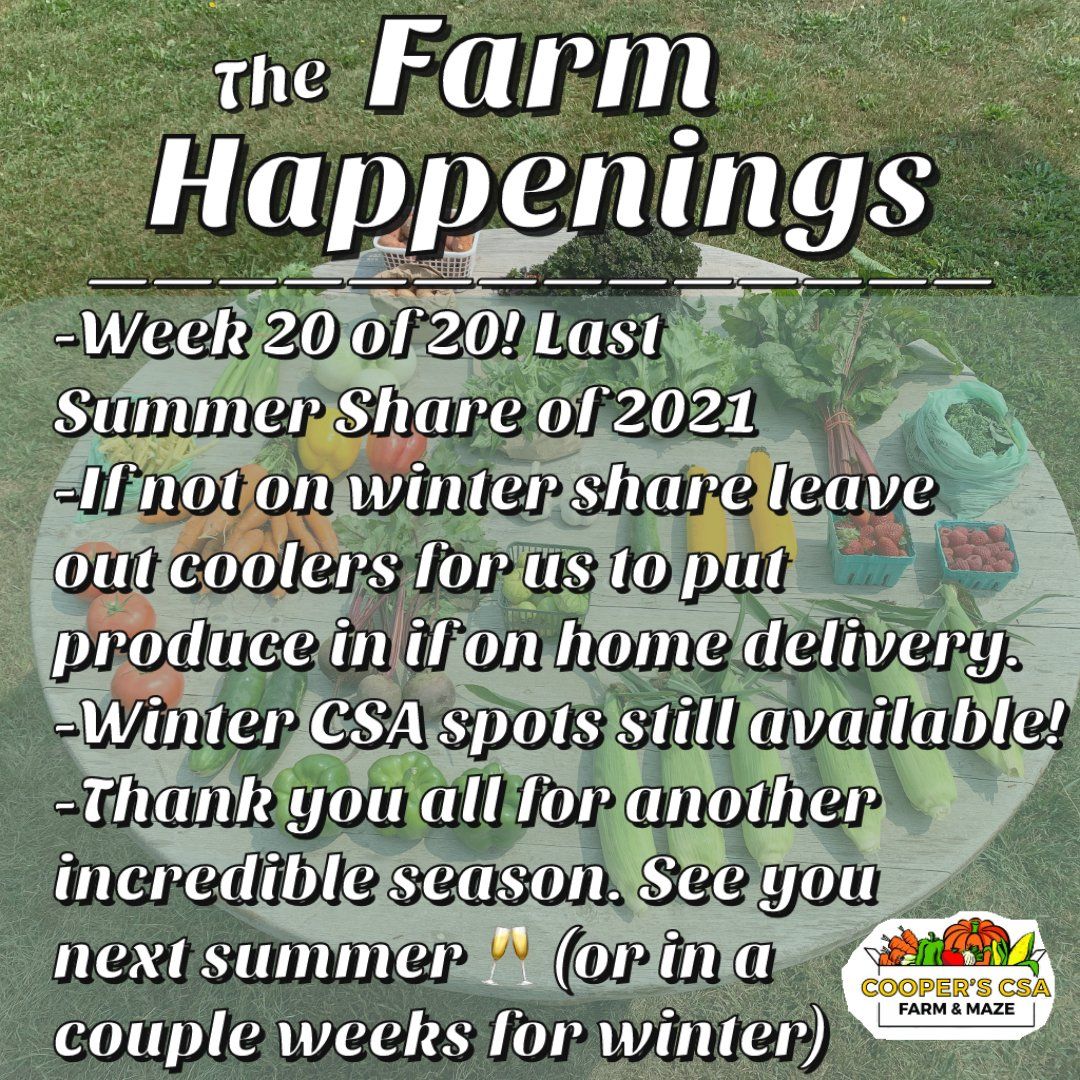 Previous Happening: Cooper's CSA Farm Summer 2021 Week 20 "The Farm Box" Oct.19-24th, 2021