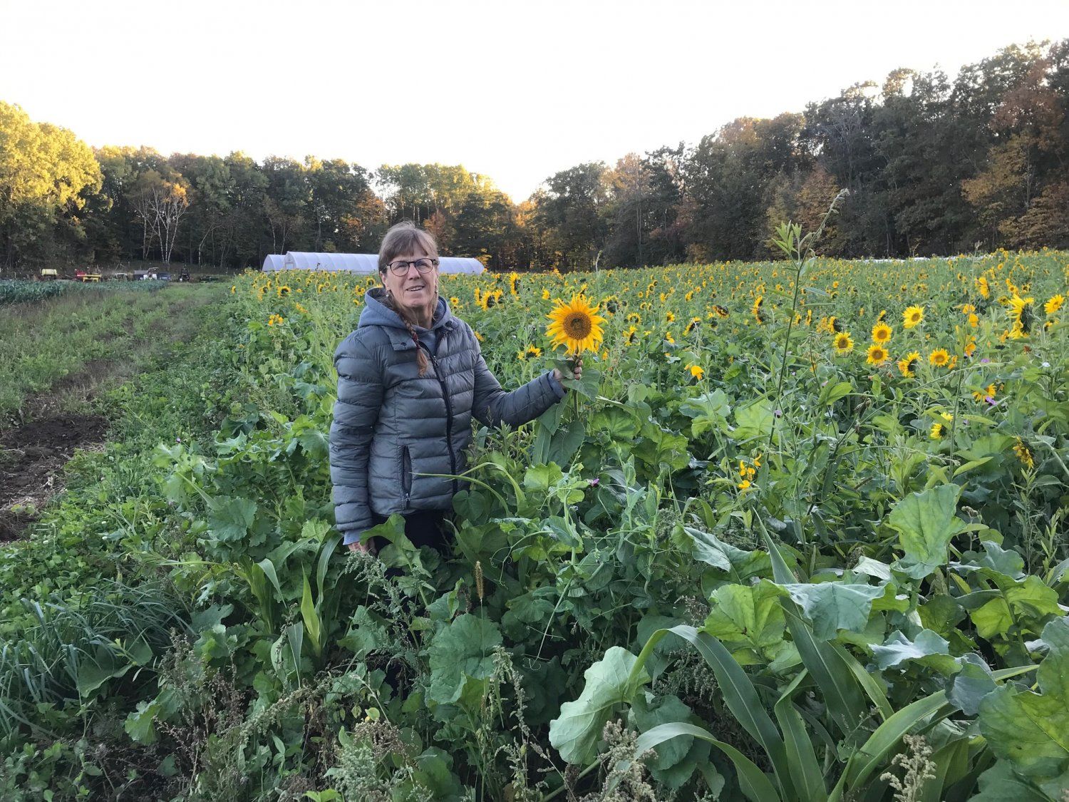 Previous Happening: Farm Happenings for October 20, 2021