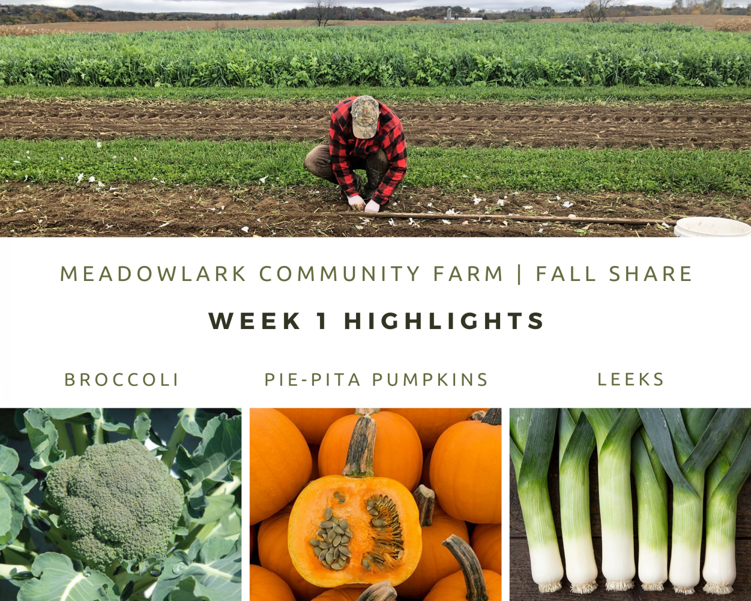 Fall Share: Week 1
