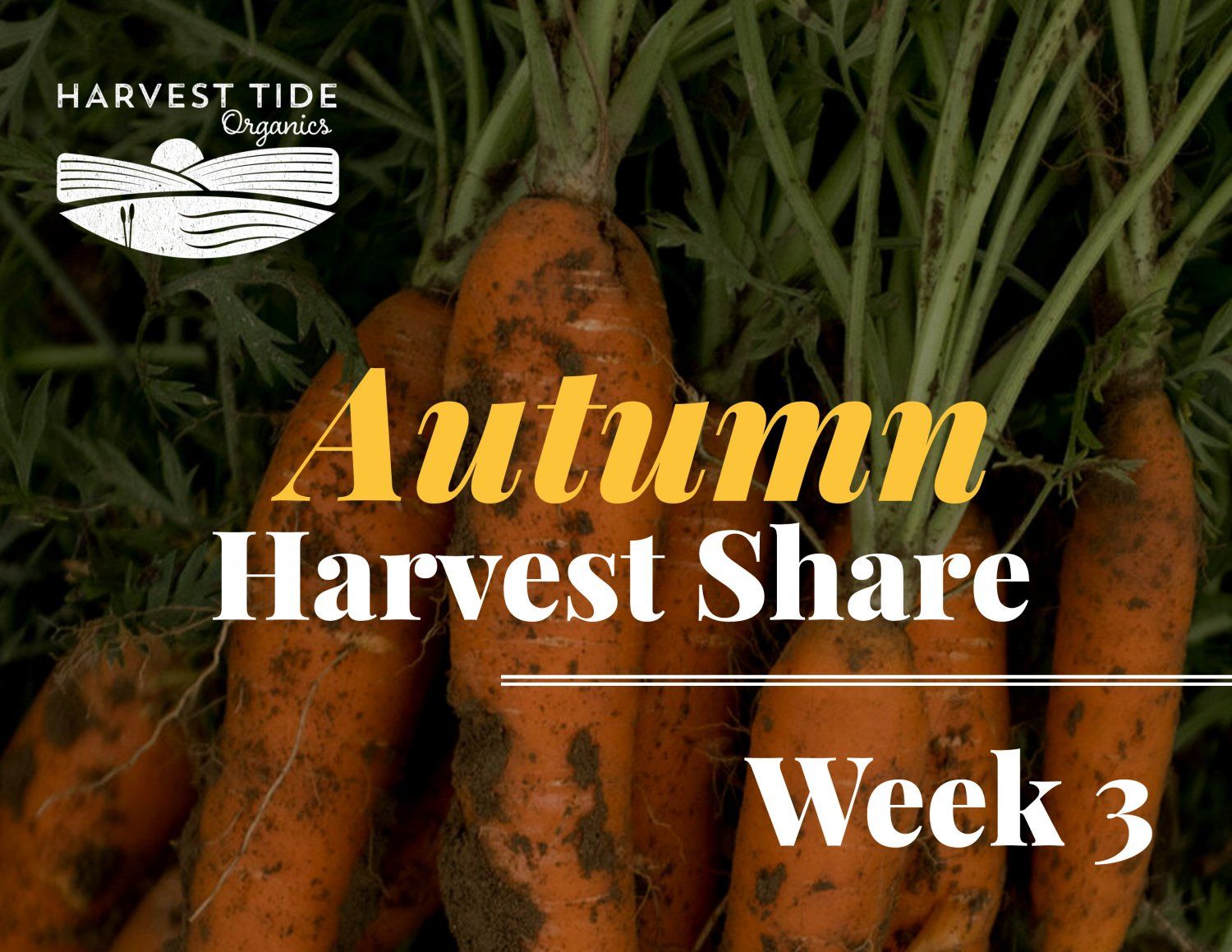 Autumn Harvest Share - Week 3