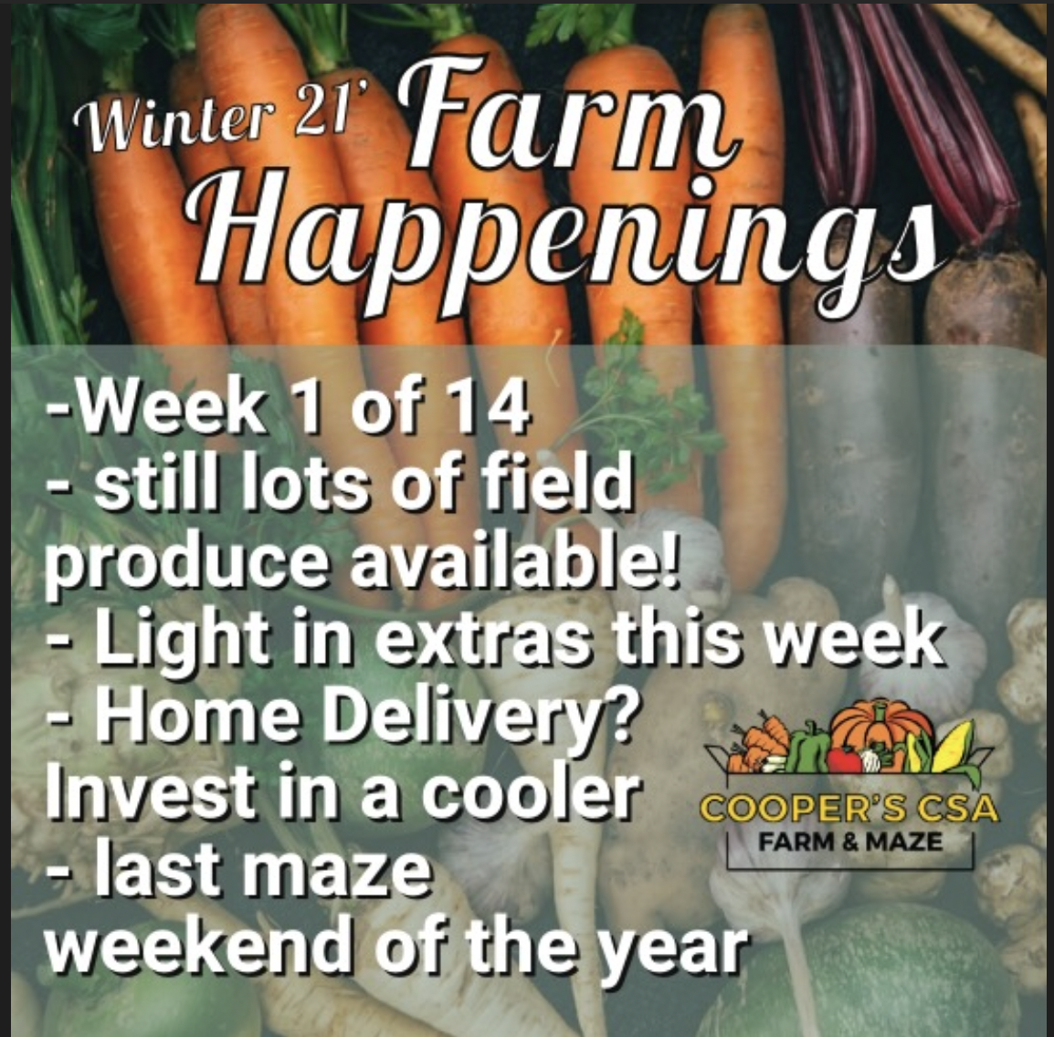 Previous Happening: "The Farm Box"-Coopers CSA Farm Farm Happenings Nov.1st-6th, 2021 Week 1