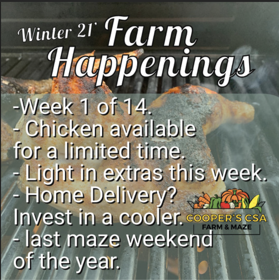 "Pasture Meat Shares"-Coopers CSA Farm Happenings Nov.1st-6th, 2021 Week 1