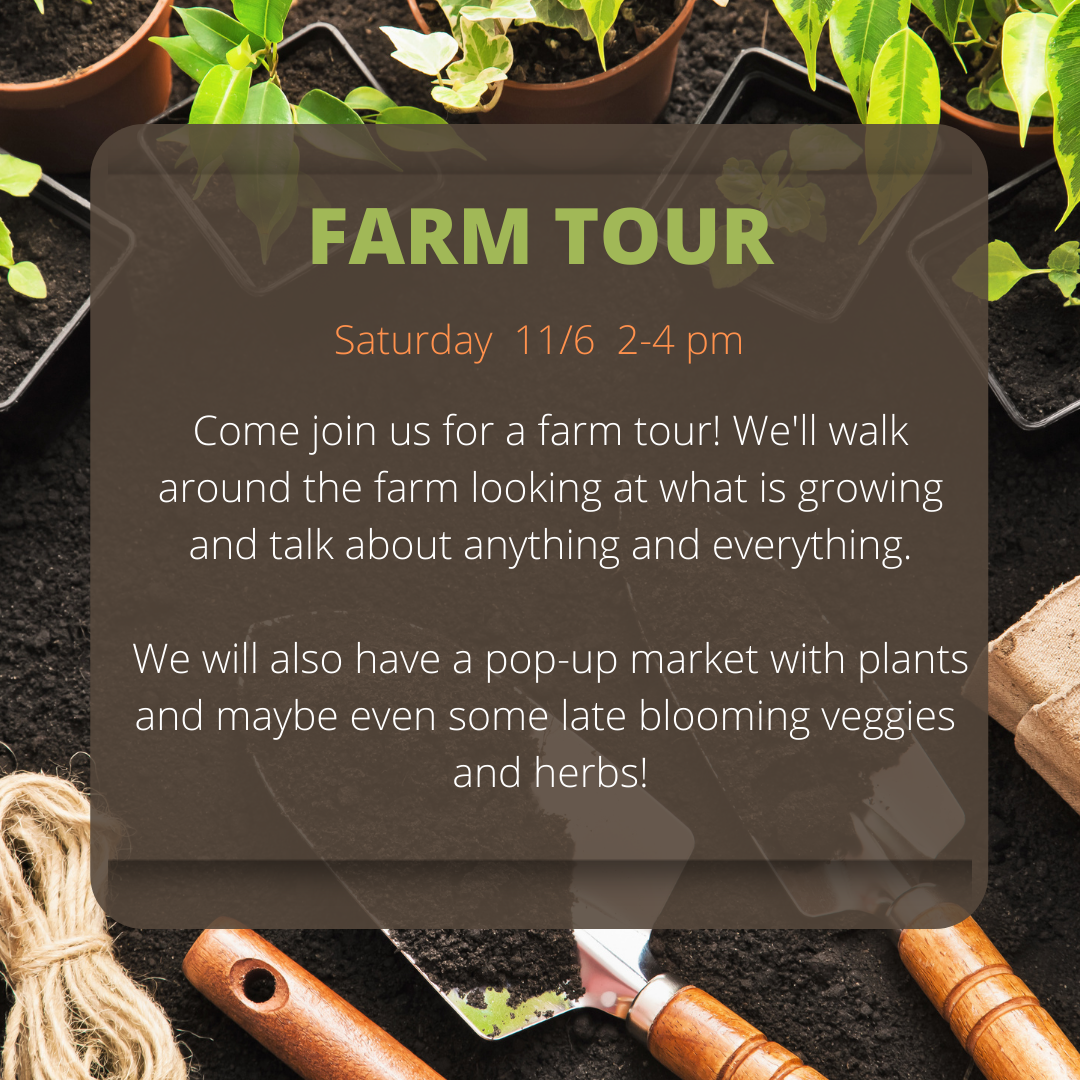Next Happening: First frost soon and Farm Tour November 6th! 2-4p