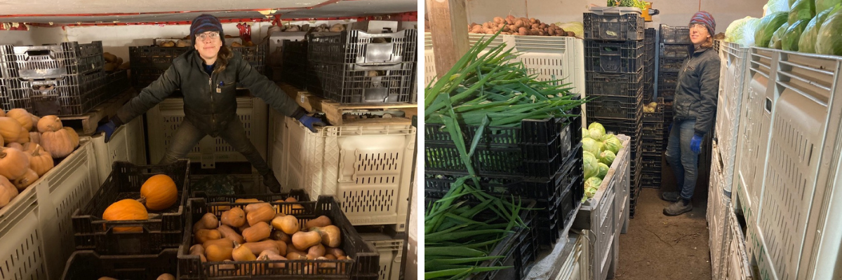 Previous Happening: Tucking veggies away ~ Filling up your cart