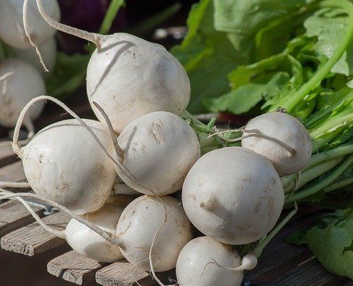 Next Happening: Don't turn up your nose at these turnips!