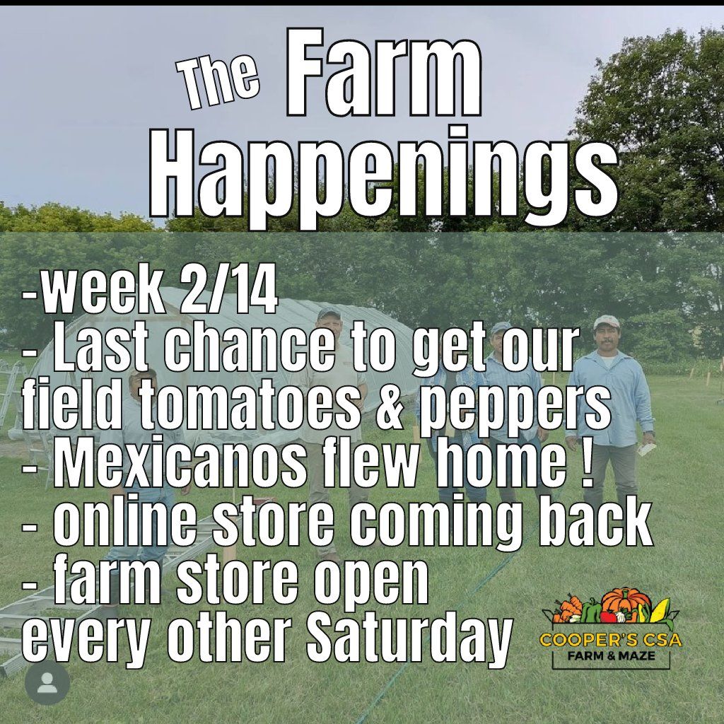 Next Happening: "The Farm Box"-Coopers CSA Farm Farm Happenings Nov.15th-20th, 2021 Week 2/14