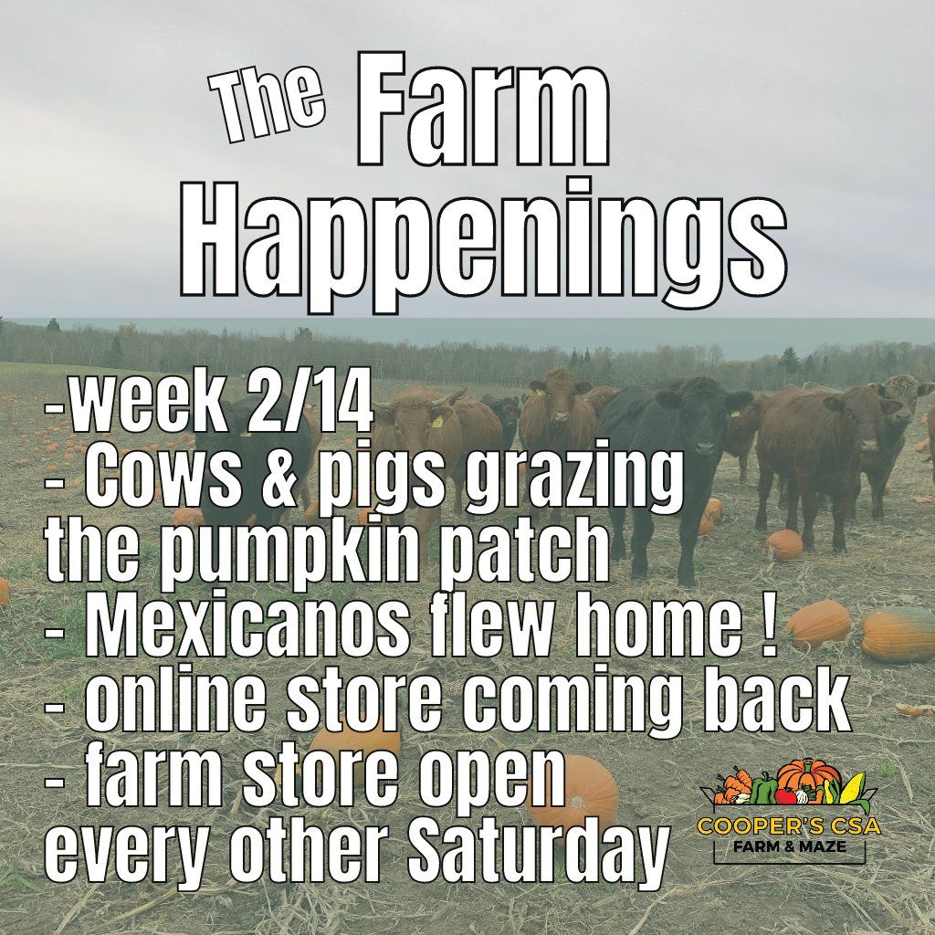 Next Happening: "Pasture Meat Shares"-Coopers CSA Farm Farm Happenings Nov.15th-20th, 2021 Week 2/14