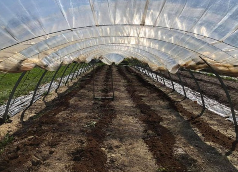 Next Happening: Lettuce Rejoice! November 25, 2021- Dirt to Soil