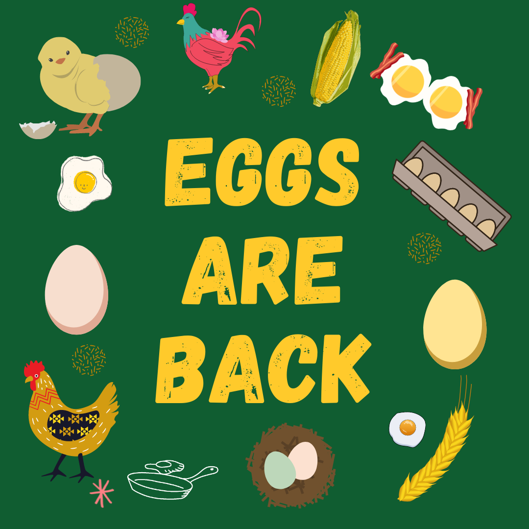 Previous Happening: Egg Share is back!