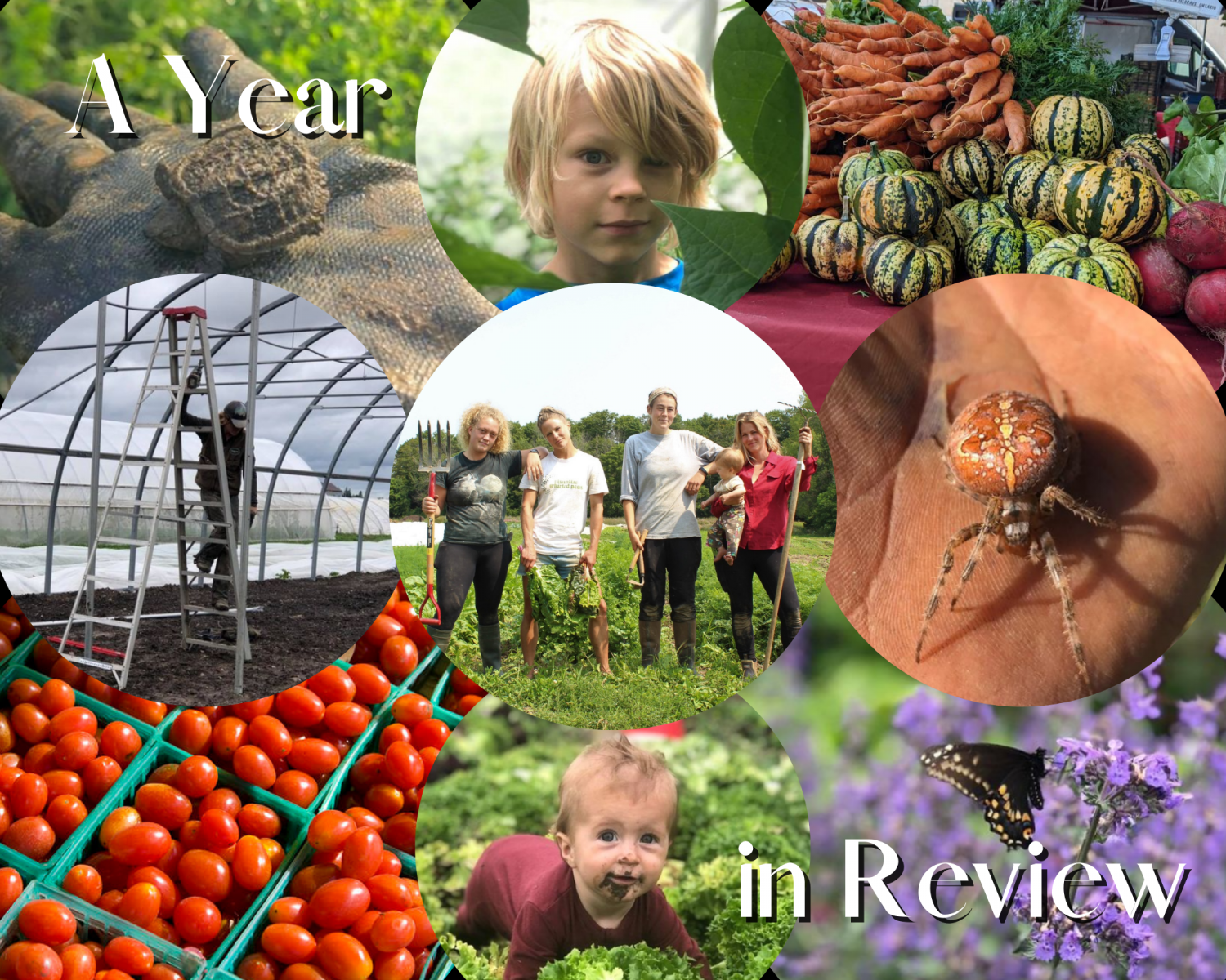 Previous Happening: Lettuce Rejoice! December 9, 2021- A Year in Review
