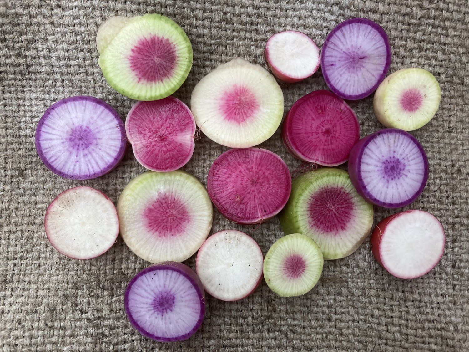 Next Happening: All About Radishes!