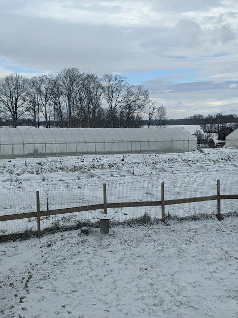 Previous Happening: Farm Happenings for January 26, 2022