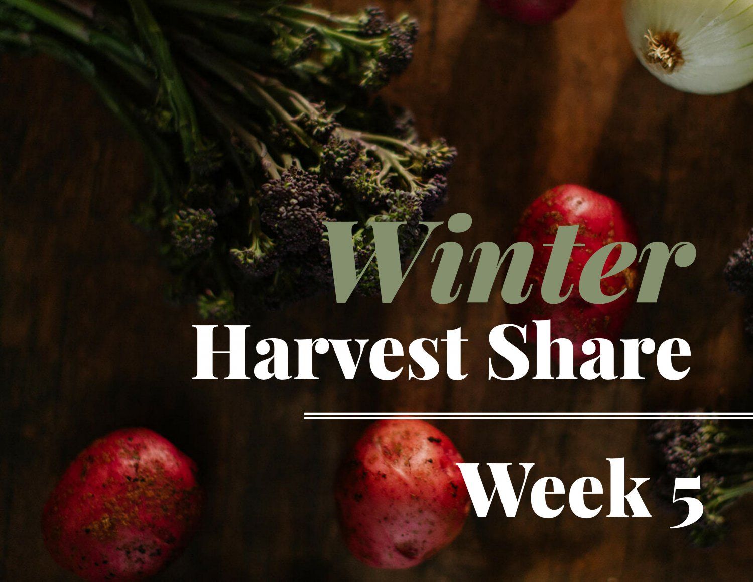 Next Happening: Winter Harvest Share - Week 5