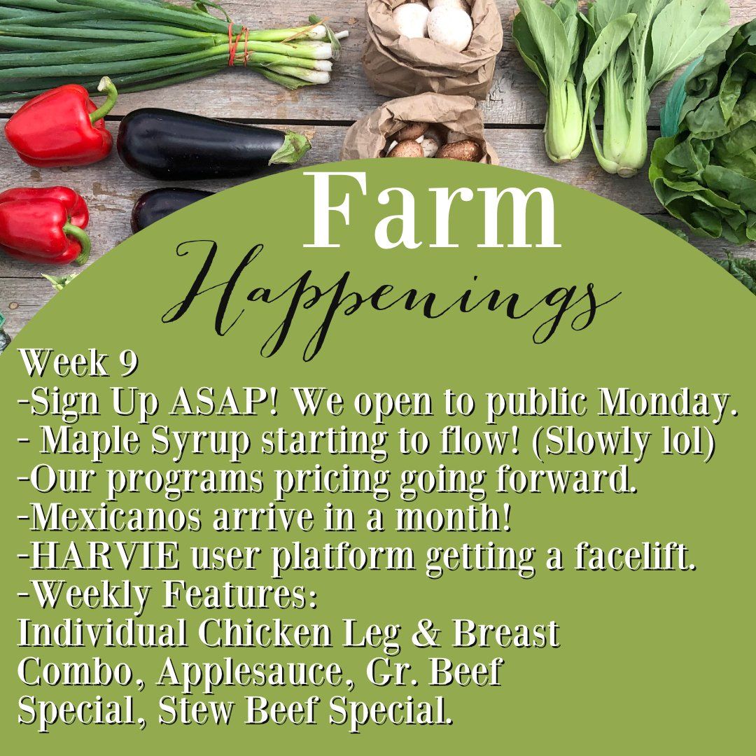 "The Farm Box"-Coopers CSA Farm Farm Happenings March 15th-19th Week 9