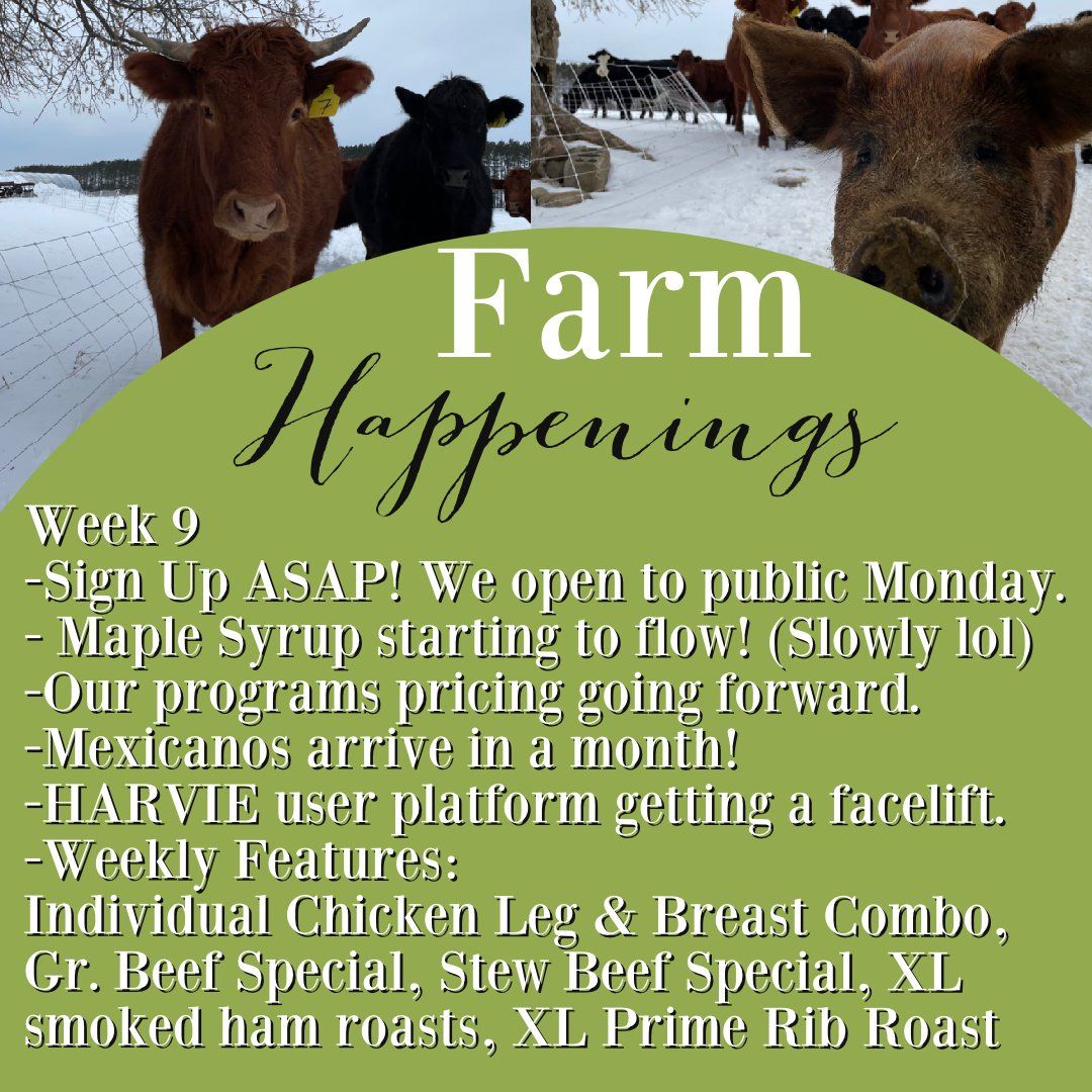 Previous Happening: "Pasture Meat Shares"-Coopers CSA Farm Farm Happenings March 15-19th Week 9