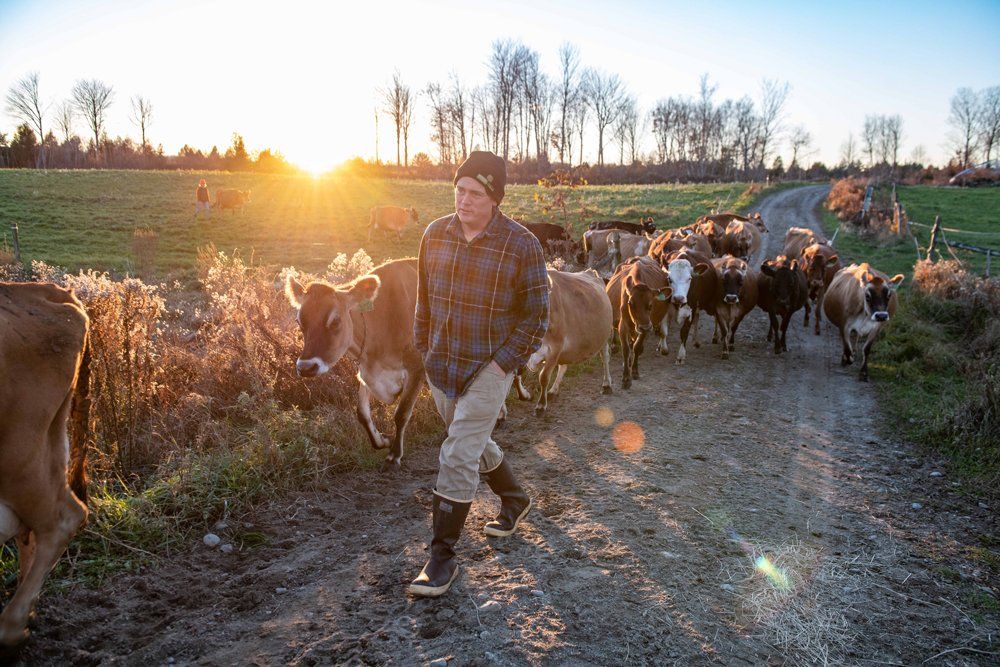 Farm Happenings 4/11/22: Take Action on PFAS Today! / Meet The Milkhouse