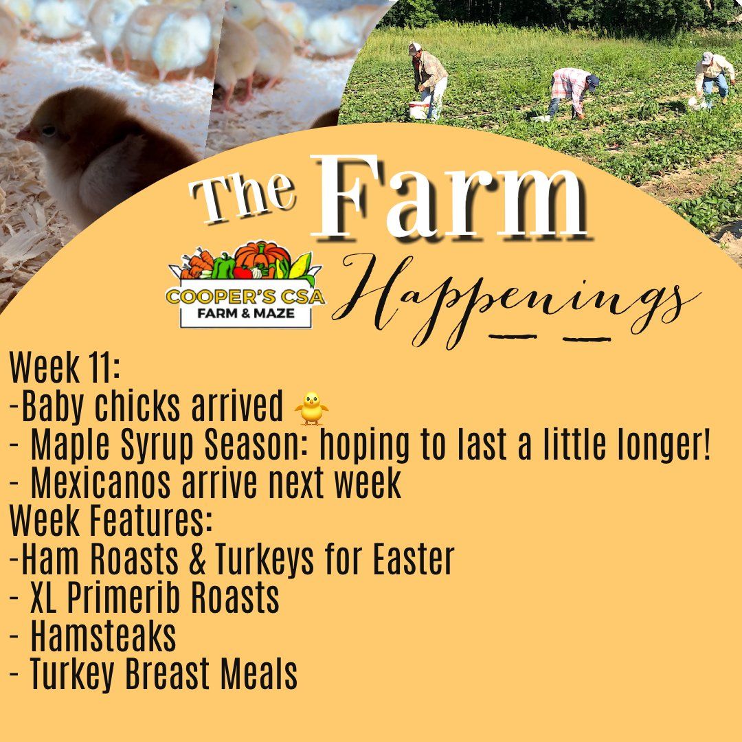 Previous Happening: "Pasture Meat Shares"-Coopers CSA Farm Farm Happenings April12th-16th Week 11