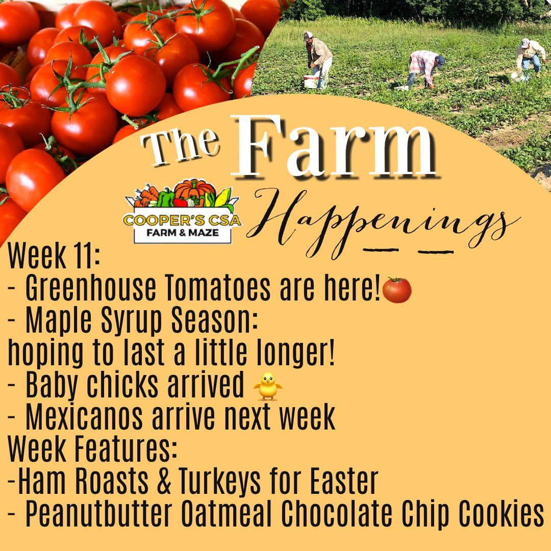 Next Happening: "The Farm Box"-Coopers CSA Farm Farm Happenings April 12th-16th Week 11