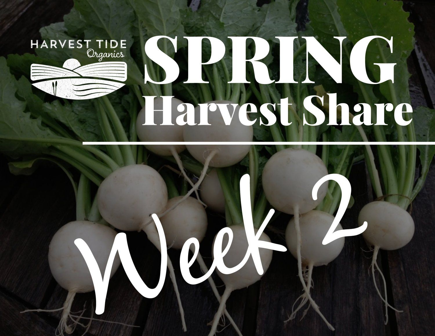 Next Happening: Spring Harvest Share - Week 2