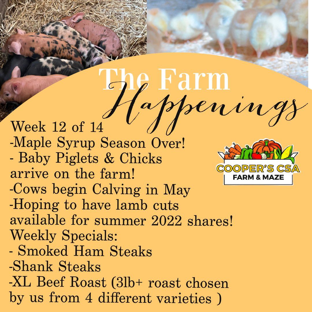Next Happening: "Pasture Meat Shares"-Coopers CSA Farm Farm Happenings April 25th-30th: Week 12