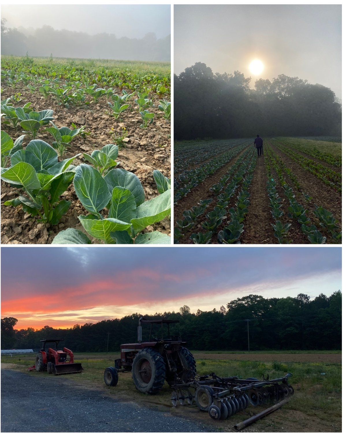 Farm Happenings for the Week of May 9th