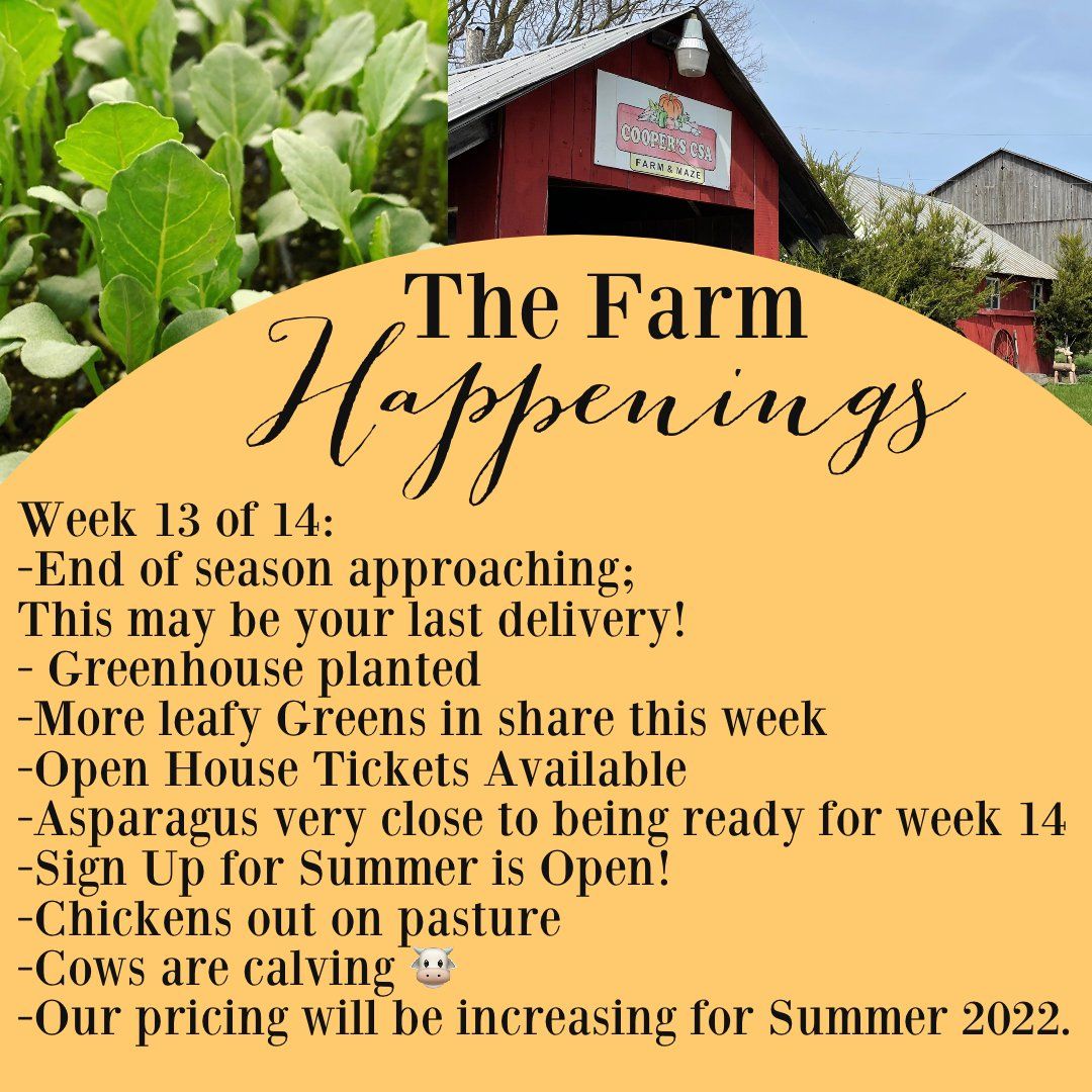 Previous Happening: "The Farm Box"-Coopers CSA Farm Farm Happenings May 10-14th Week 13