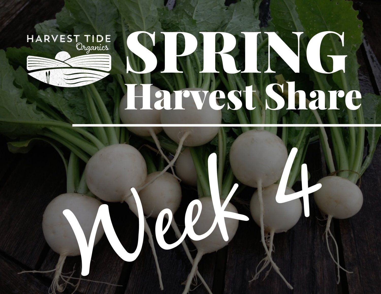 Next Happening: Spring Harvest Share - Week 4