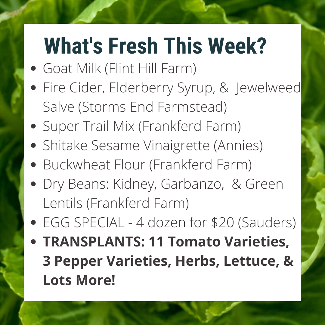Previous Happening: Last Spring Market Box + Get your transplants delivered to you!