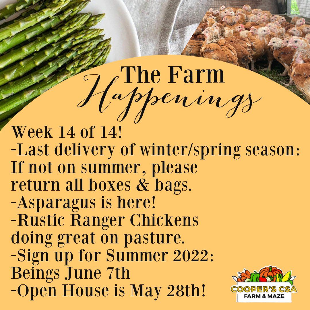 Next Happening: "The Farm Box"-Coopers CSA Farm Farm Happenings May24-28h Week 14