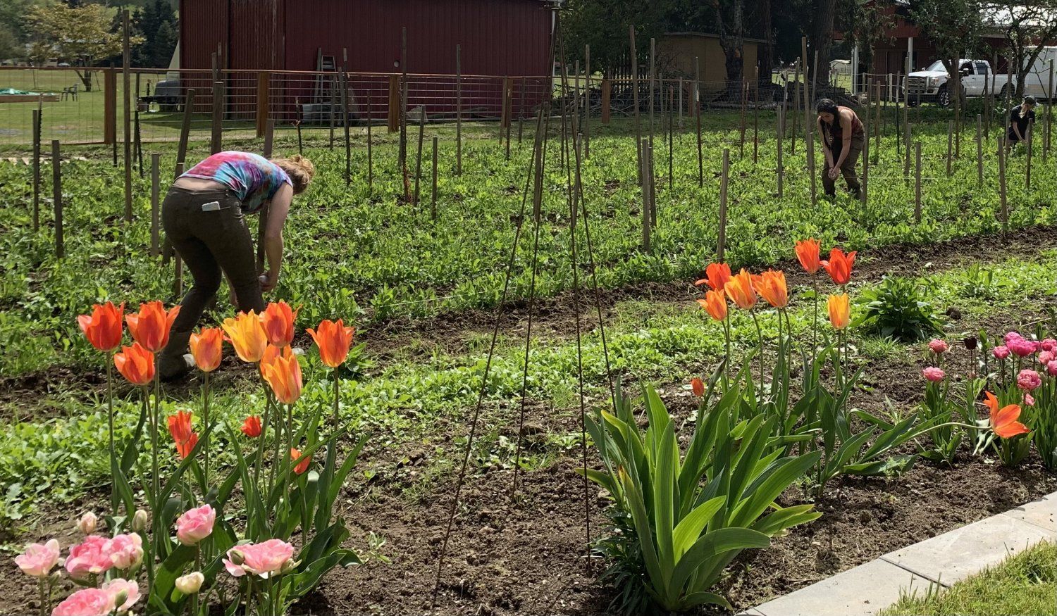 Farm Happenings for May 25, 2022