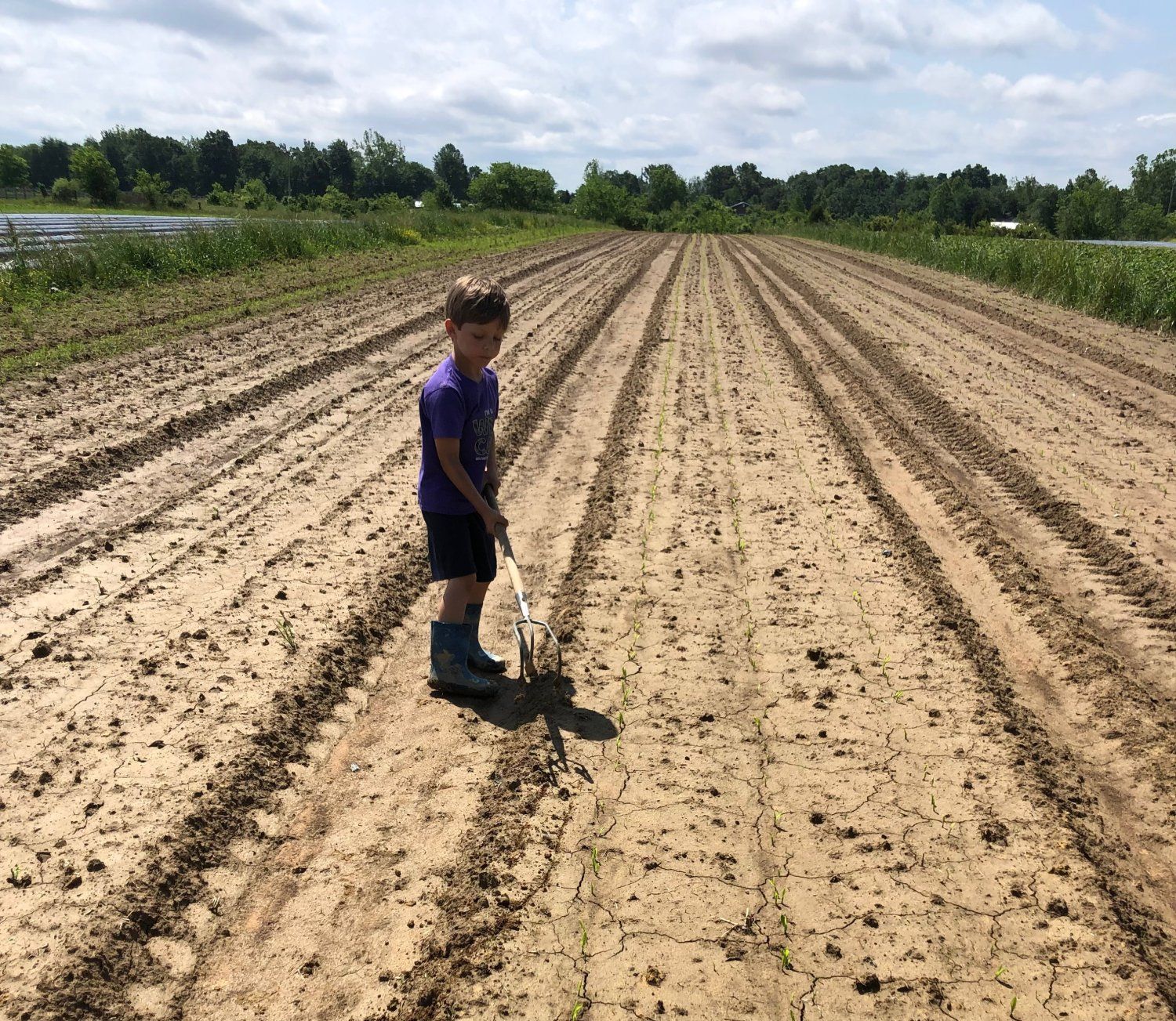 Previous Happening: Farm Happenings for May 31, 2022