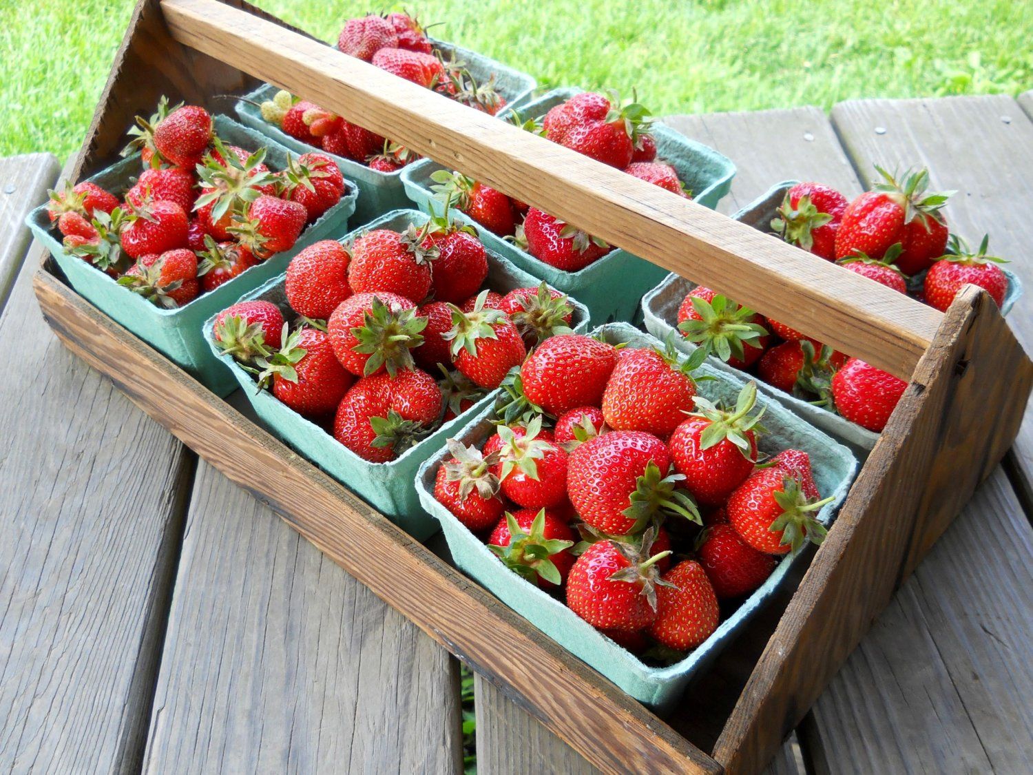 Next Happening: Start of Strawberry Season