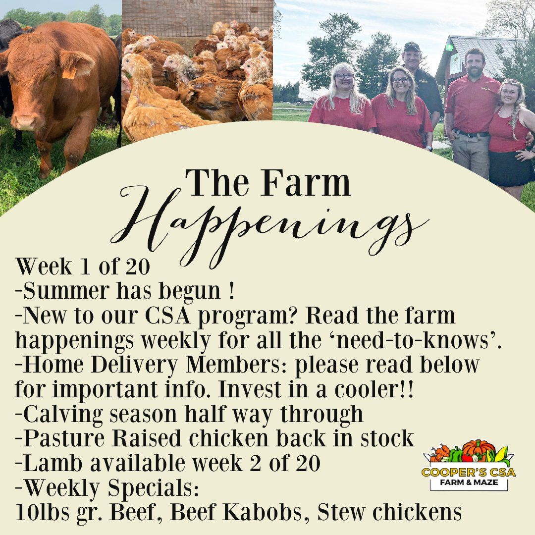"Pasture Meat Shares"-Coopers CSA Farm Farm Happenings June 6-12th Week 1