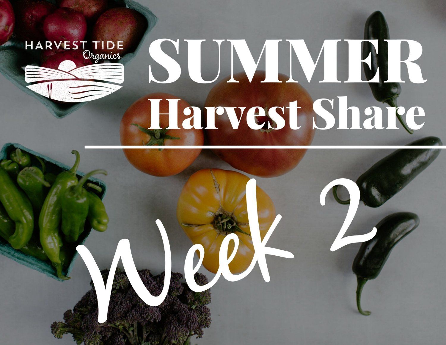 Week 2 of the Summer CSA! It's beginning to feel like summer!