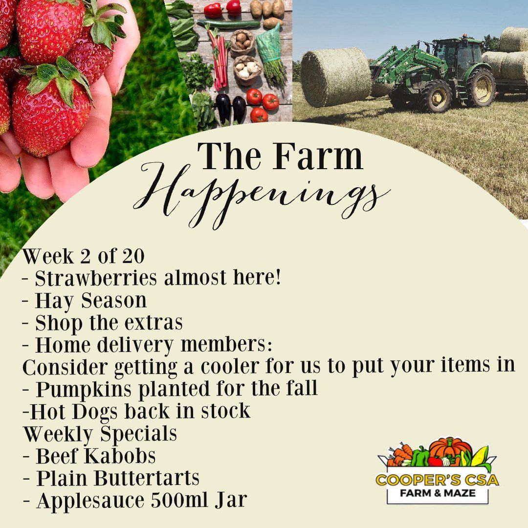 "The Farm Box"-Coopers CSA Farm Farm Happenings June 14th-19th Week 2